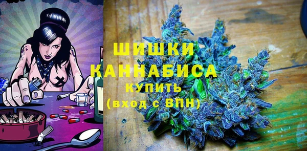 spice Няндома