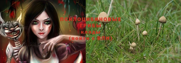 mix Белокуриха