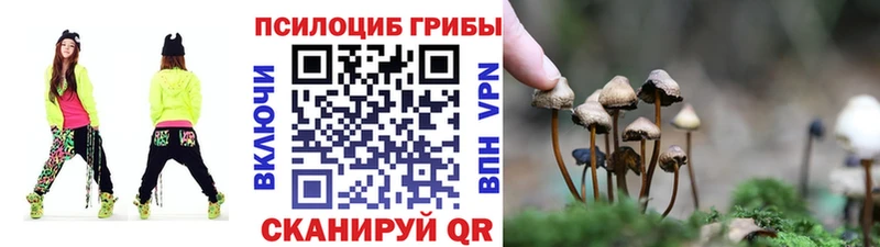 Псилоцибиновые грибы мицелий  Юрга 